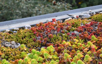 the cost of Comberbach green roof installation