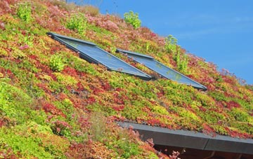 Comberbach living roof systems