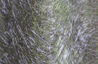 Comberbach fibreglass roof work